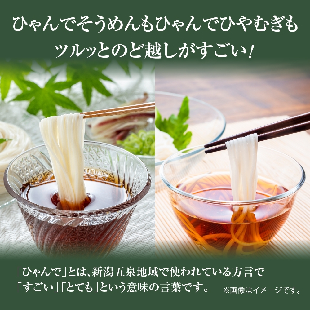 ひゃんで そうめん ひやむぎ 各1袋 600g...の詳細画像1