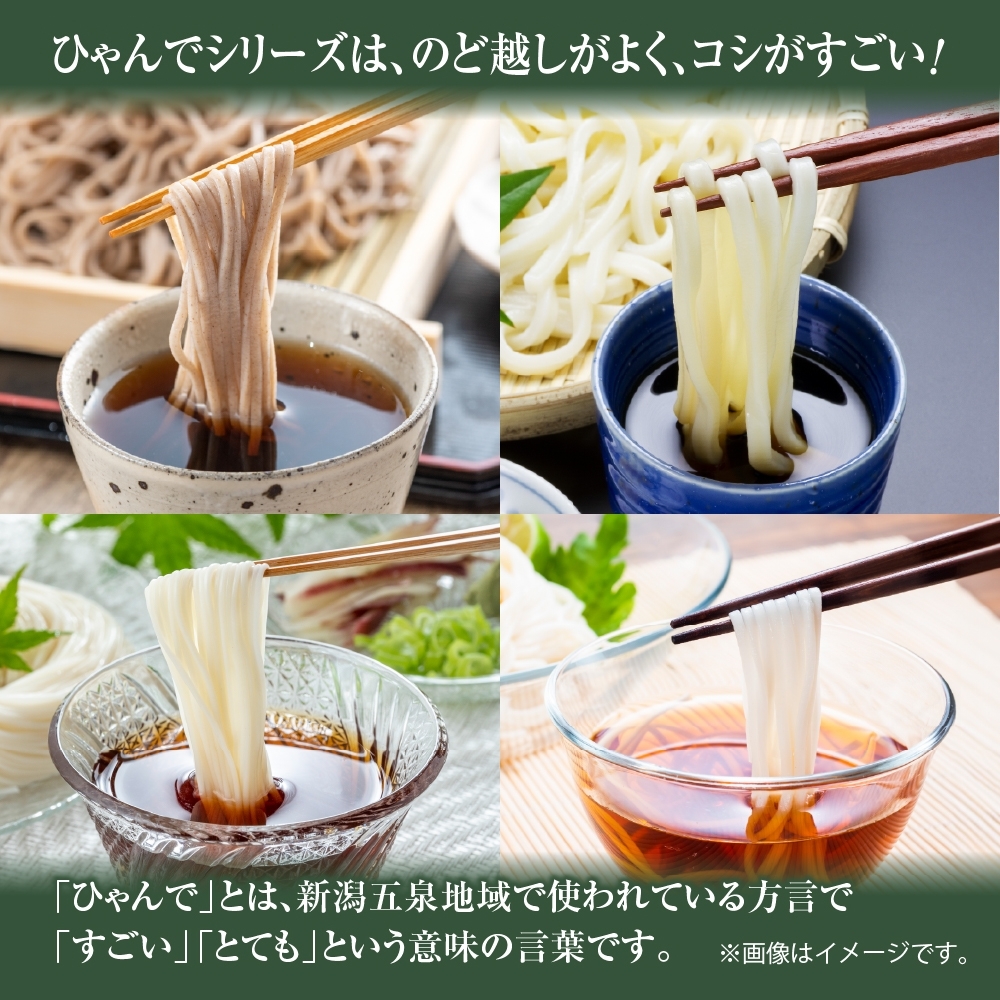 北国からの贈り物 ひゃんで 乾麺4種セット 各1袋600g(8袋/16袋)そば