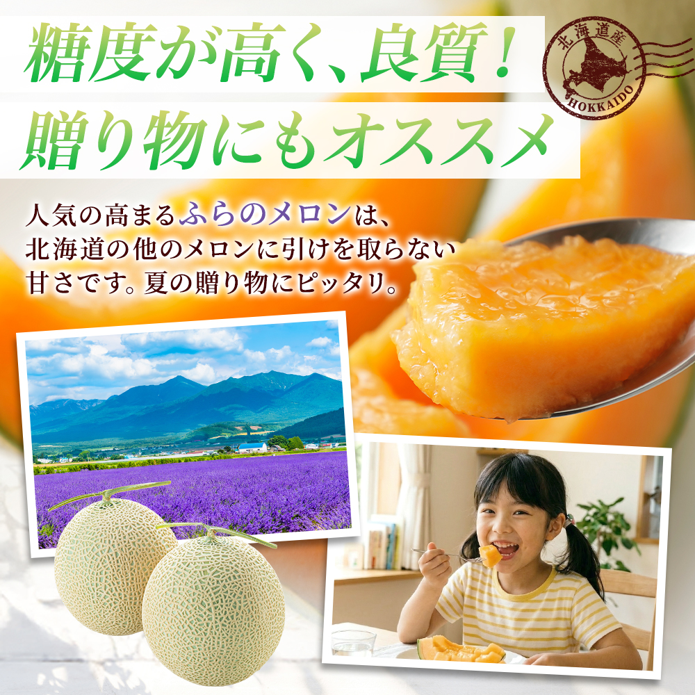 北国からの贈り物 富良野メロン 秀品 2玉-3玉 計4kg 北海道 果物
