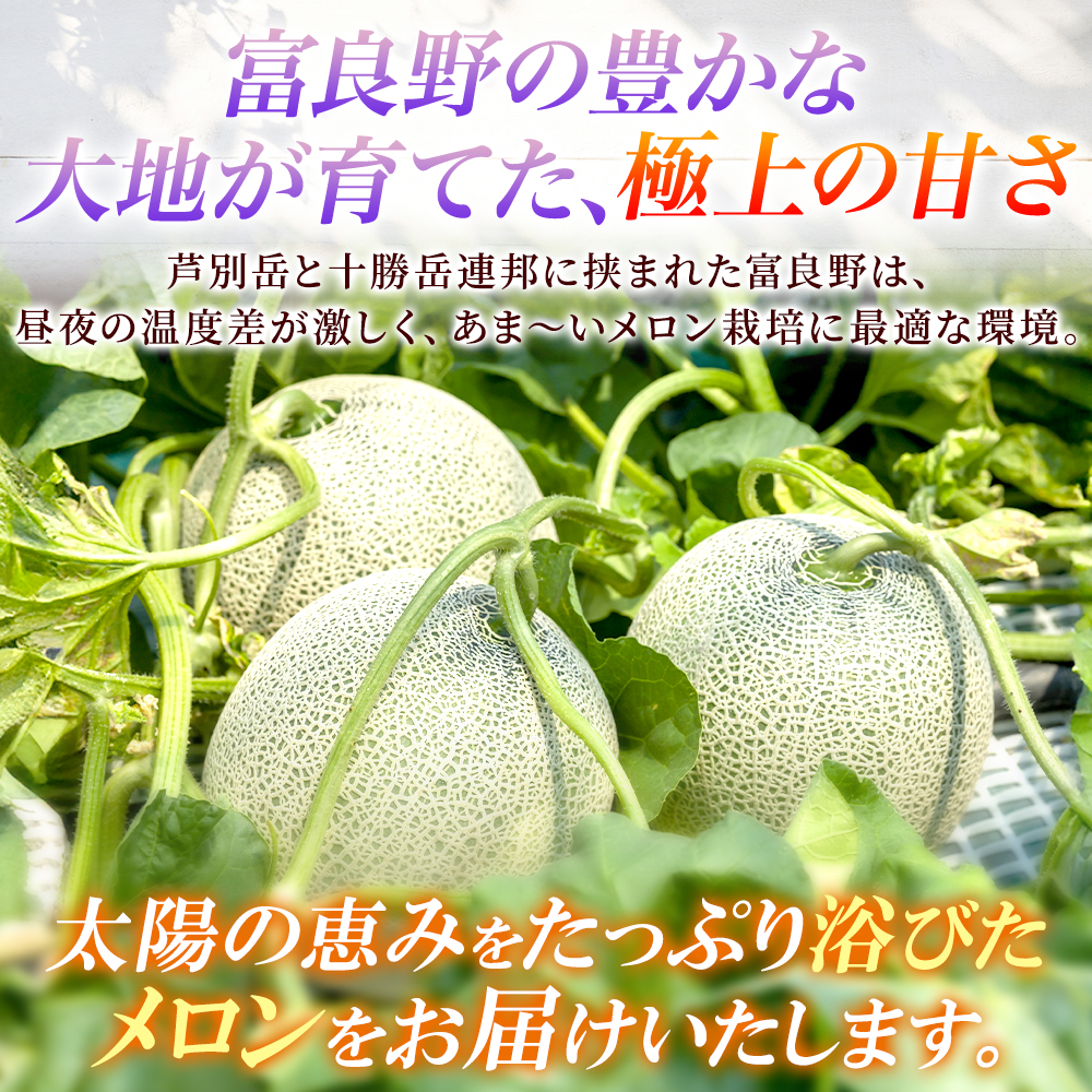 北国からの贈り物 富良野メロン 秀品 2玉-3玉 計4kg 北海道 果物