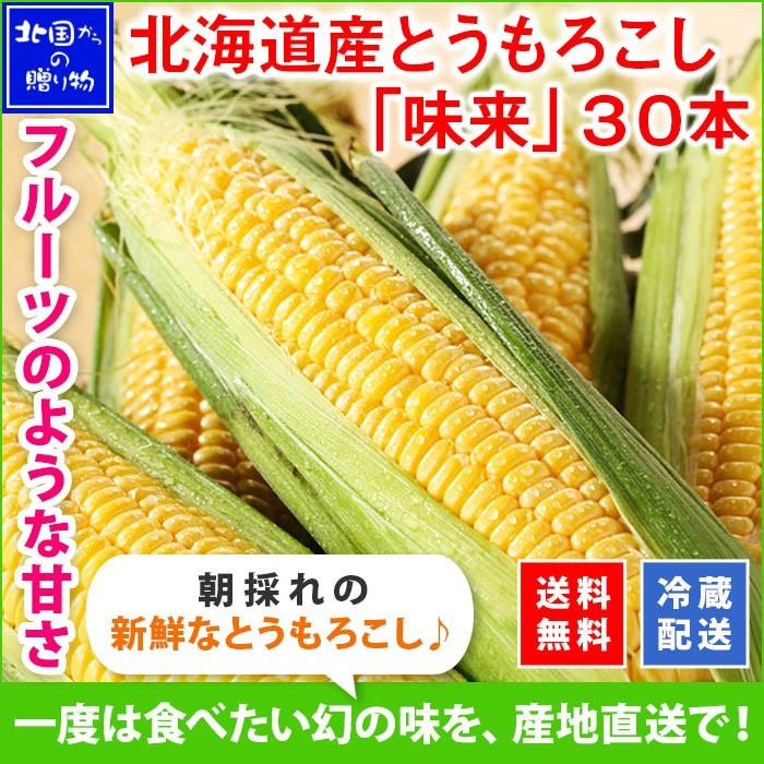 とうもろこし 北海道 30本 約13kg お取り寄せ 美味しい トウモロコシ 味来 甘い お土産 バーベキュー グルメ ギフト 食べ物