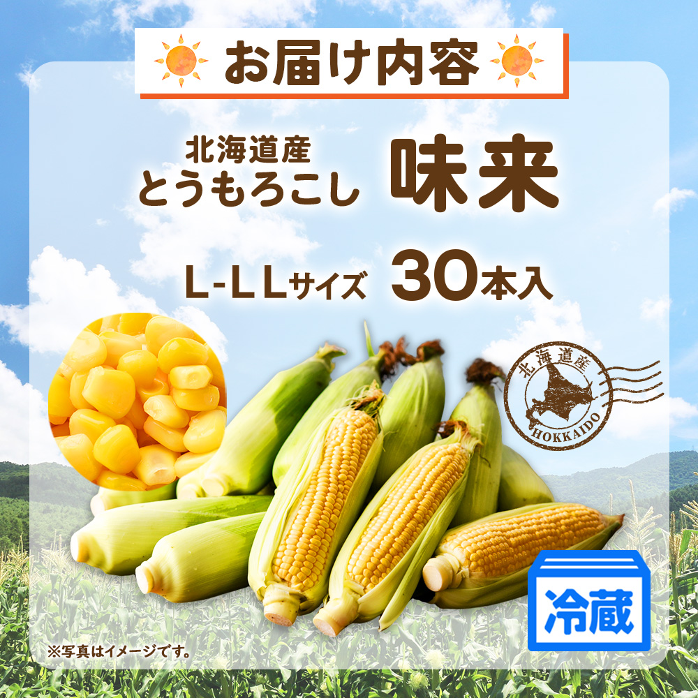 新鮮 もちとうもろこし30本 詰め合わせ 楽天市場】もち とうもろこし