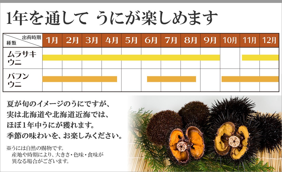 うに 訳あり ウニ 北海道 塩水うに 80gx2個 お取り寄せ グルメ 海鮮 ギフト 生ウニ 生うに 無添加 むらかみ 21年 北海道市場 北国からの贈り物 通販 Yahoo ショッピング