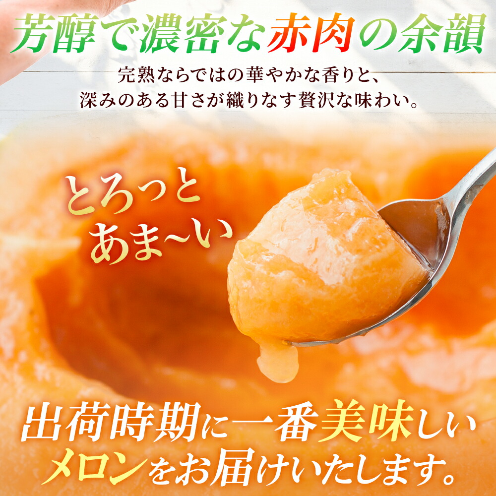 北国からの贈り物 赤肉 メロン 訳あり 北海道 3-7玉 計8kg お取り寄せ
