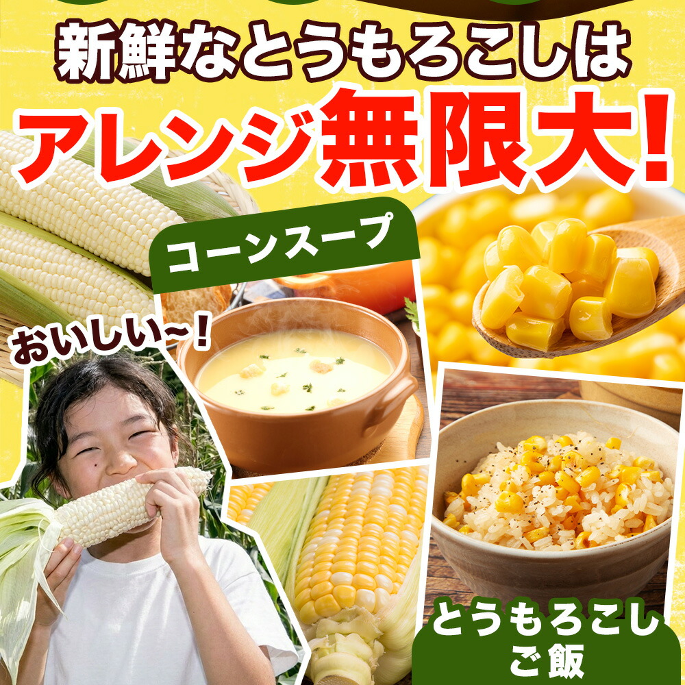 北国からの贈り物 わけあり 黄色 白い トウモロコシ 食べ比べセット 11