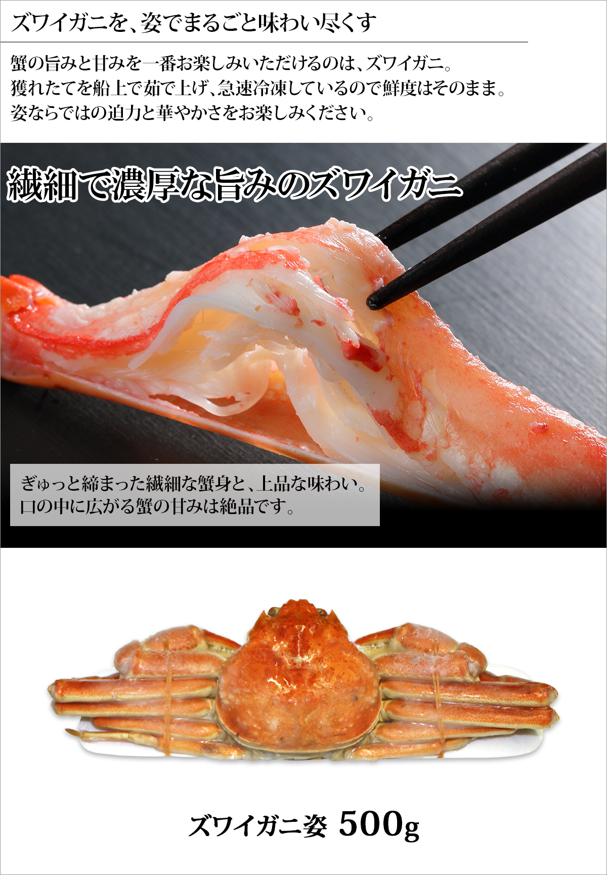 楽天市場】目録 パネル ビンゴ 景品 【日本海甘えび】A3パネル