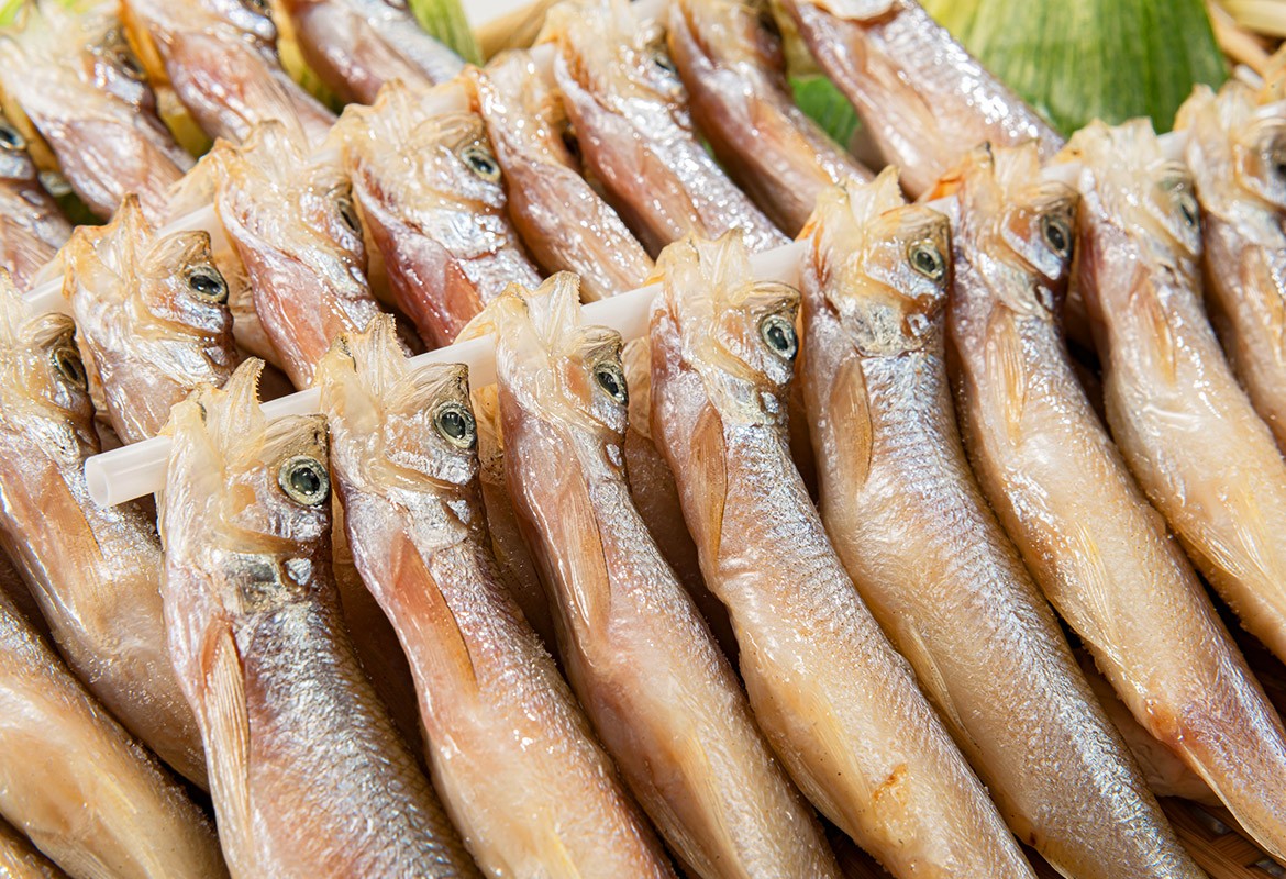 北海道 ししゃも 本物 40尾 雌雄 食べ比べ ギフト 海鮮 魚 冷凍 お取り寄せ グルメ 食べ物 御歳暮 :107881:北海道市場「北国からの贈り物」  - 通販 - Yahoo!ショッピング