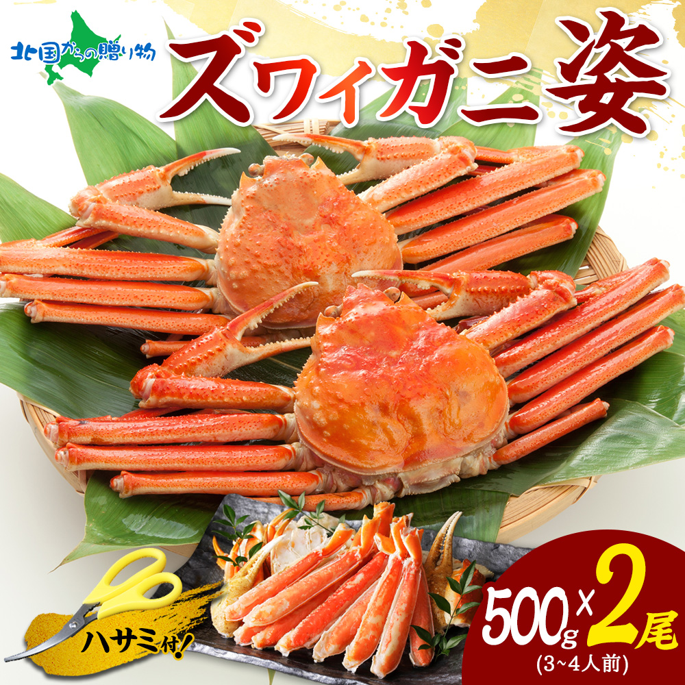 【ギフト】カニ ズワイガニ 姿 ボイル 500g 2尾 かに ギフト カニ 姿 蟹 カニ 蟹姿 ズワ ...