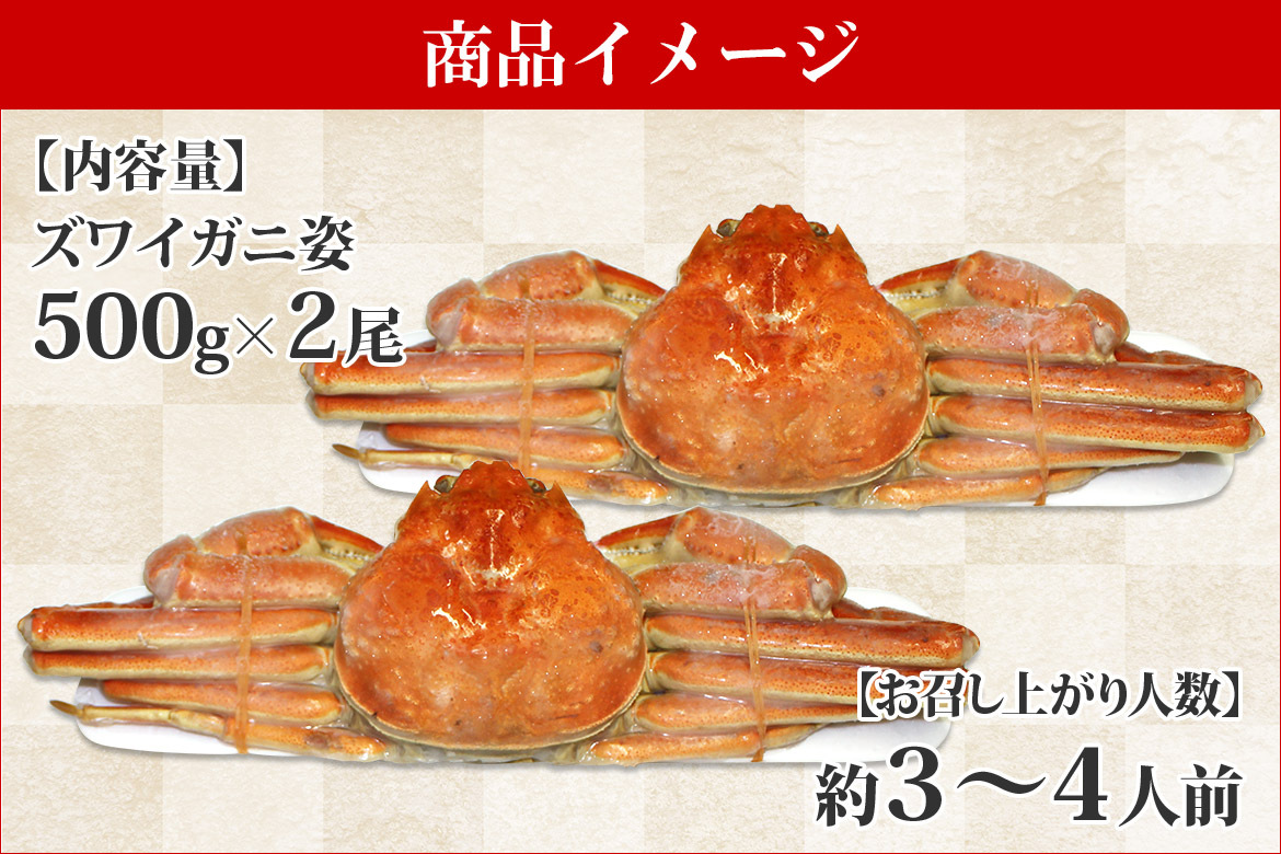 ズワイガニ 姿 500g 2尾 カニ ギフト かに 御歳暮 お歳暮 蟹 鍋 海鮮 ずわい蟹 贈答用 食べ物 ボイル お鍋 :107890:北海道市場「北国からの贈り物」  - 通販 - Yahoo!ショッピング