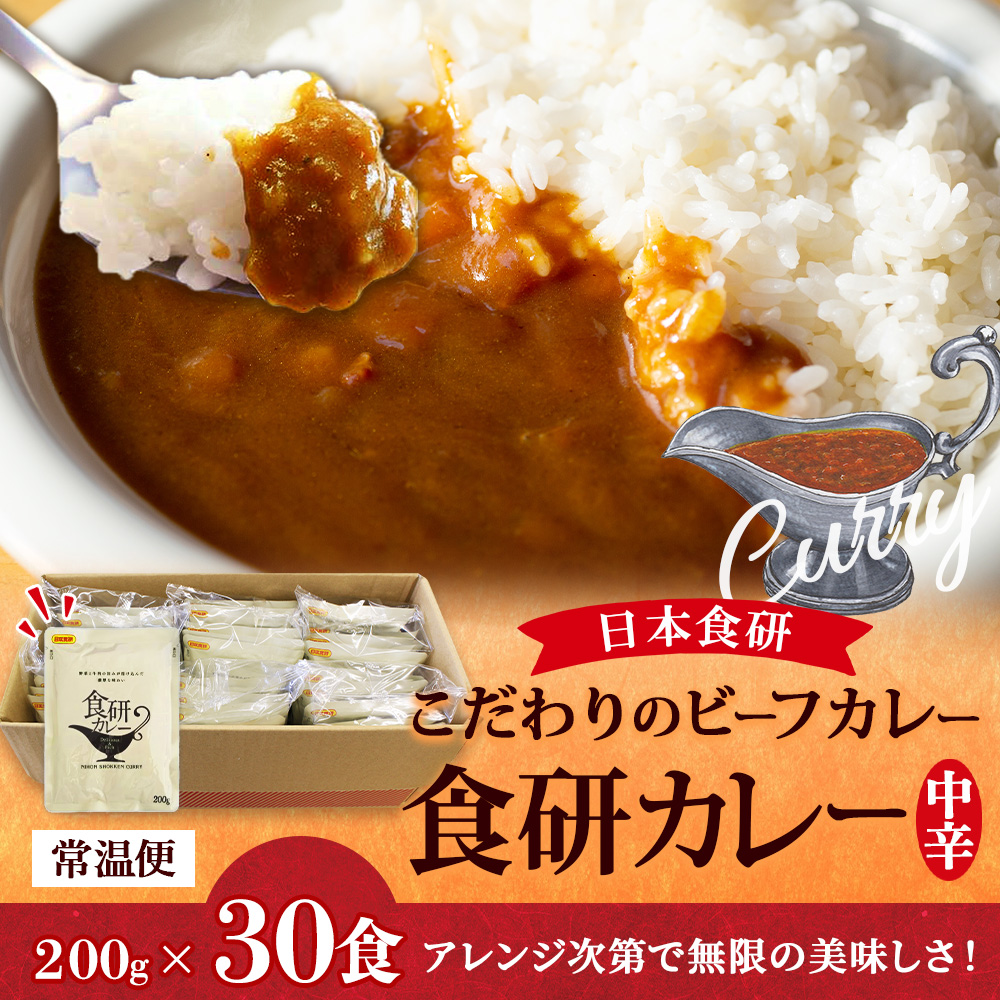 日本食研 カレー レトルト 業務用 食研カレー 40食セット お取り寄せ