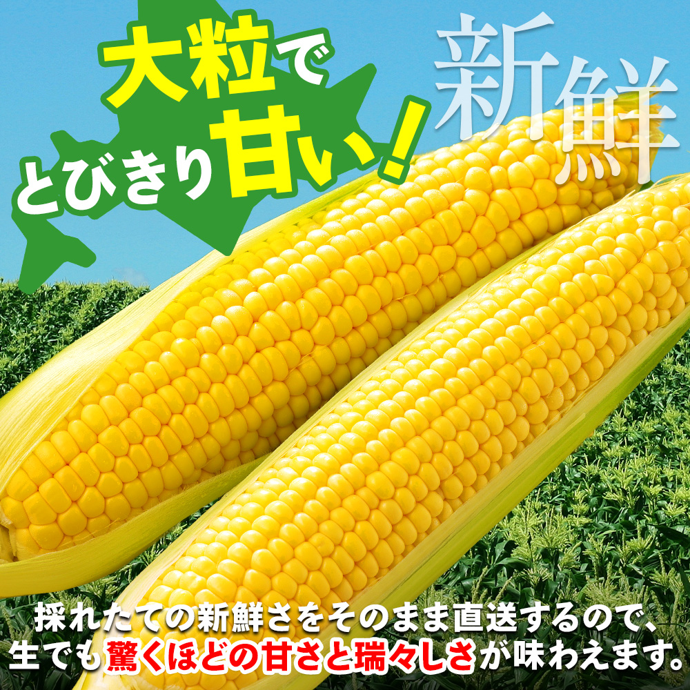 北国からの贈り物 とうもろこし ゴールドラッシュ 10本 Lサイズ 北海道