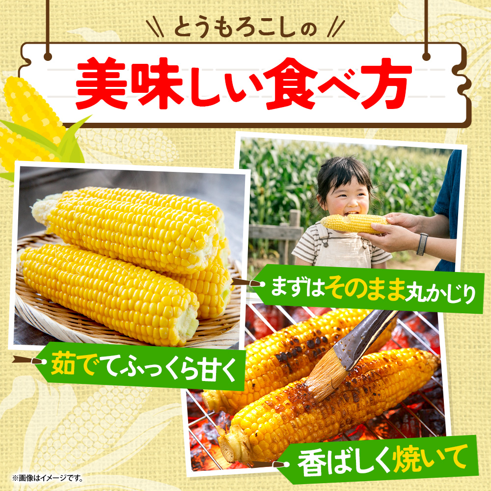 北国からの贈り物 とうもろこし ゴールドラッシュ 10本 Lサイズ 北海道