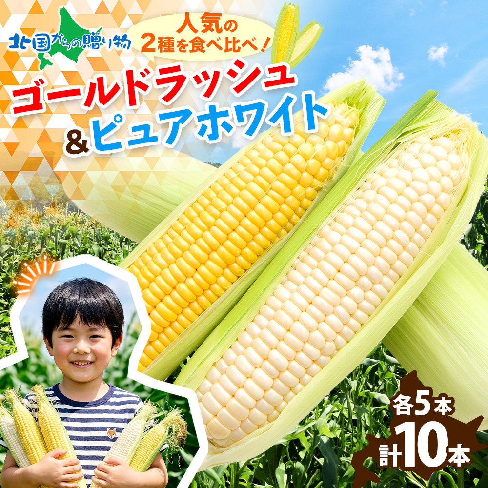 北国からの贈り物 トウモロコシ 食べ比べセット 10本 北海道産 白い