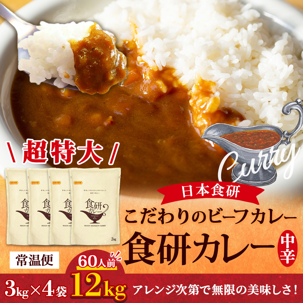新品カレー４０個セット 日本食研 カレー レトルト 業務用 食研カレー 40食セット お取り寄せ
