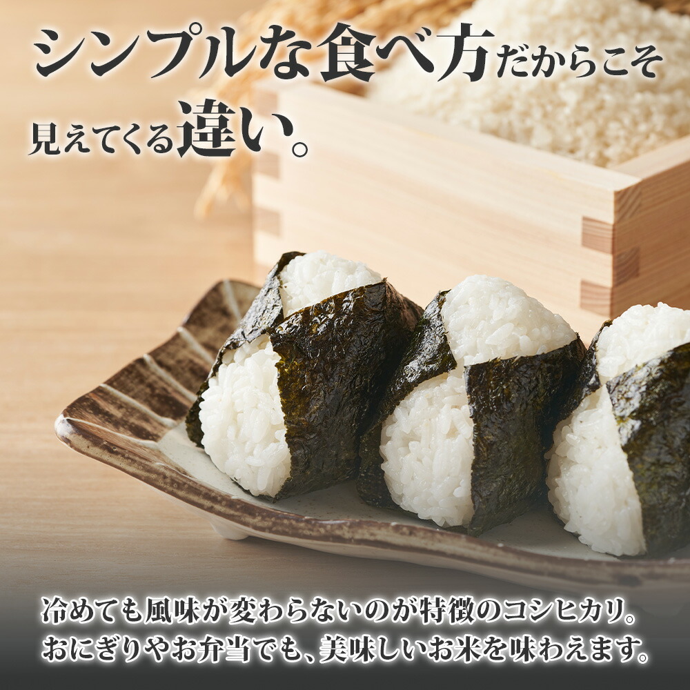 コシヒカリ (令和7年産)南魚沼産 計10kg 特A こしひかり 新潟産 新潟県