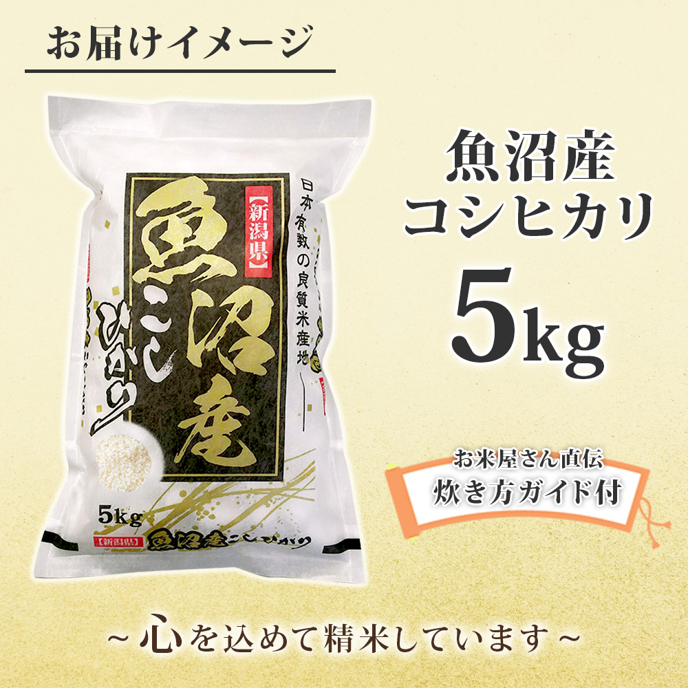 魚沼産 コシヒカリ 5kg 特A お米 新潟県産 こしひかり 精米 国産 安全 産直 産地直送 人気 ギフト お取り寄せ 送料無料 : 108266  : 北海道市場「北国からの贈り物」 - 通販 - Yahoo!ショッピング