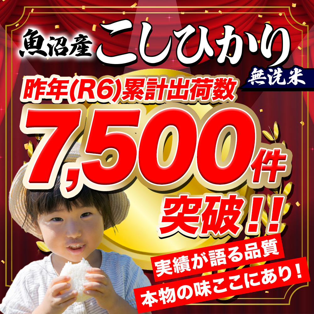 (令和7年産)魚沼産 コシヒカリ 10kg 無...の詳細画像1