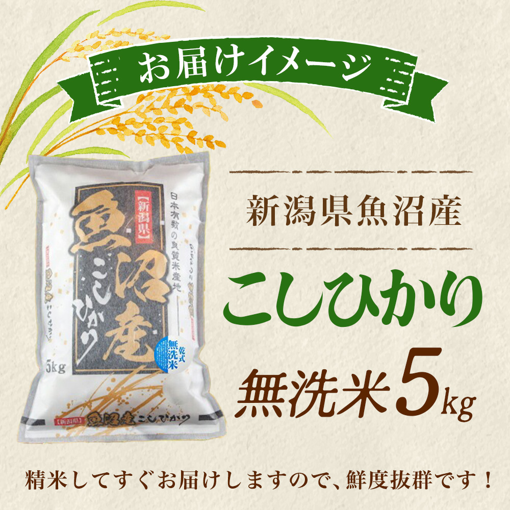 北国からの贈り物 (令和7年産)魚沼産 コシヒカリ 5kg 無洗米 特A お米