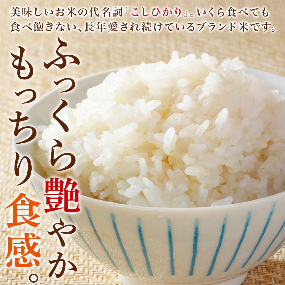 (令和7年産)魚沼産 コシヒカリ 10kg 無...の詳細画像2