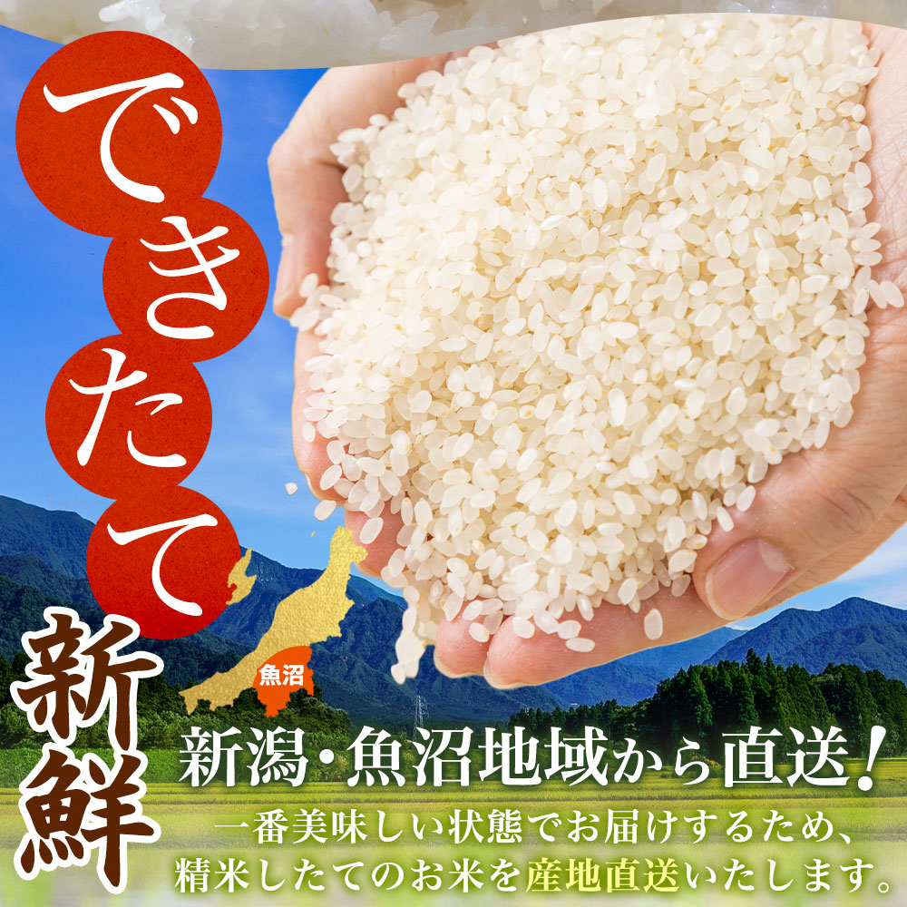 (令和7年産)魚沼産 コシヒカリ 10kg 無...の詳細画像4