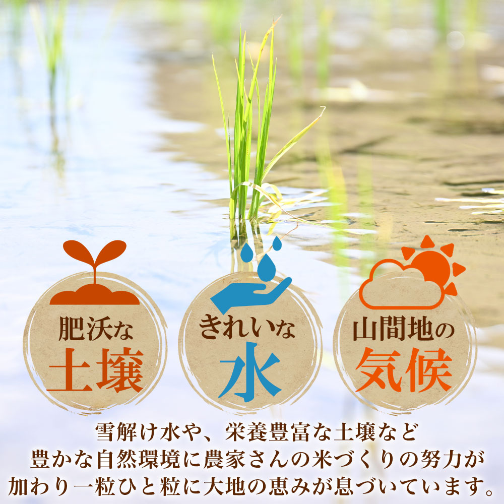 (令和7年産)魚沼産 コシヒカリ 10kg 無...の詳細画像5