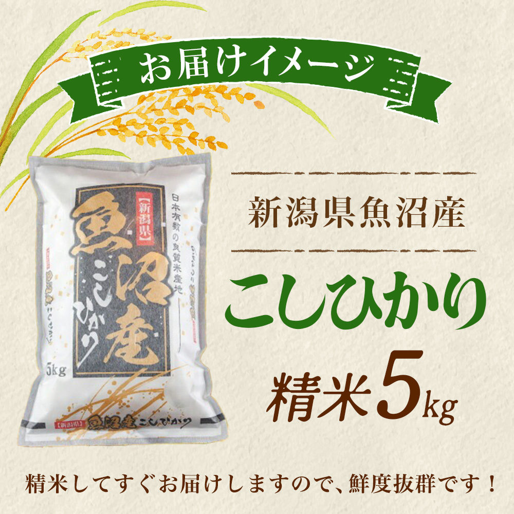 北国からの贈り物 令和7年産 魚沼産 コシヒカリ 5kg 特A お米 新潟県産