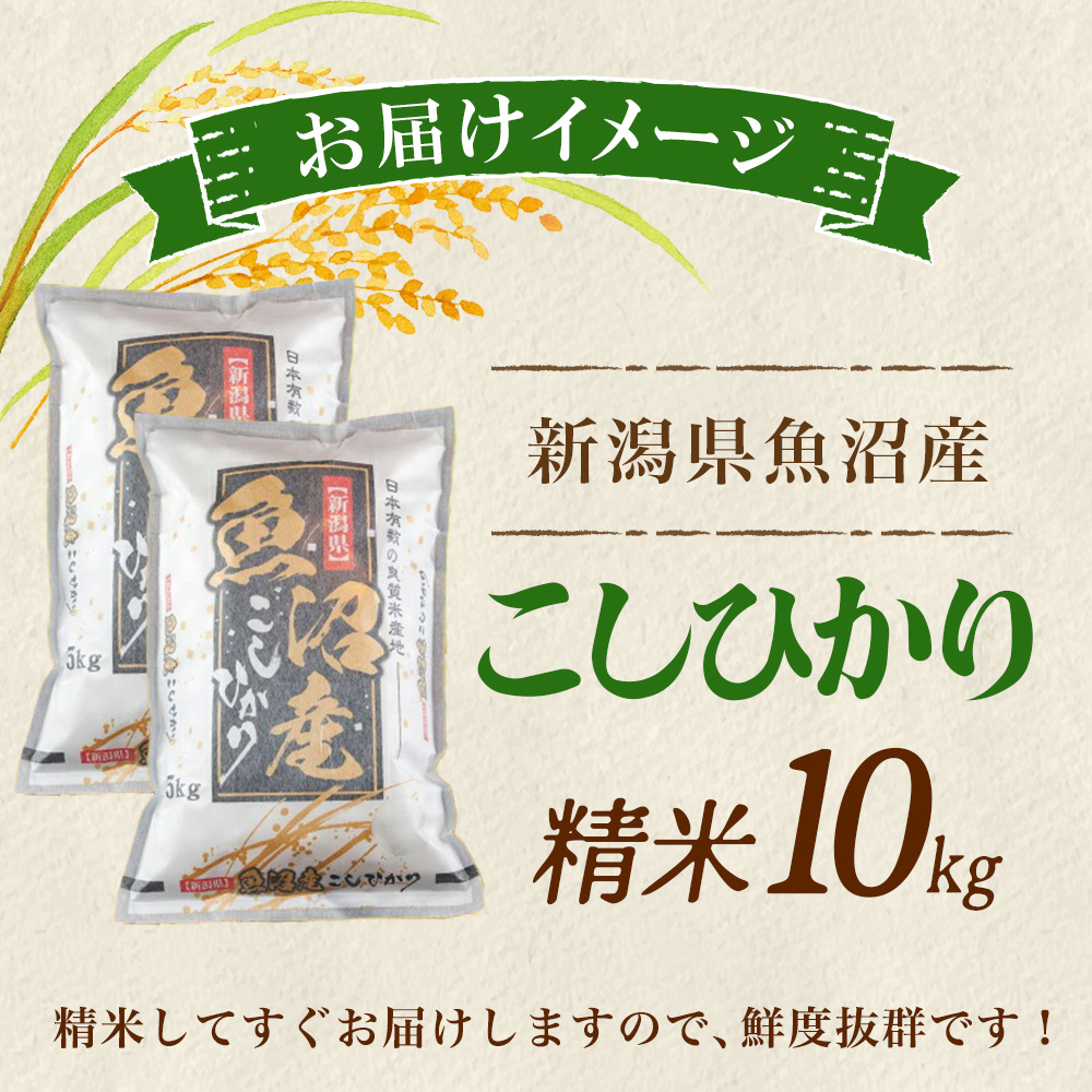 北国からの贈り物 令和7年産 魚沼産 コシヒカリ 10kg 特A お米 新潟県