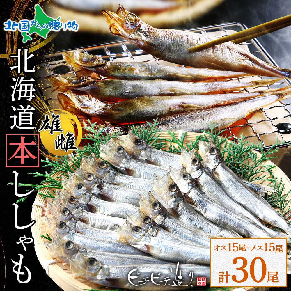 値下げ！ オオイチモンジ 北海道産 雄 × 雌 セット 北国からの贈り物 本ししゃも 北海道産 オス メス各15尾 計30尾 ギフト