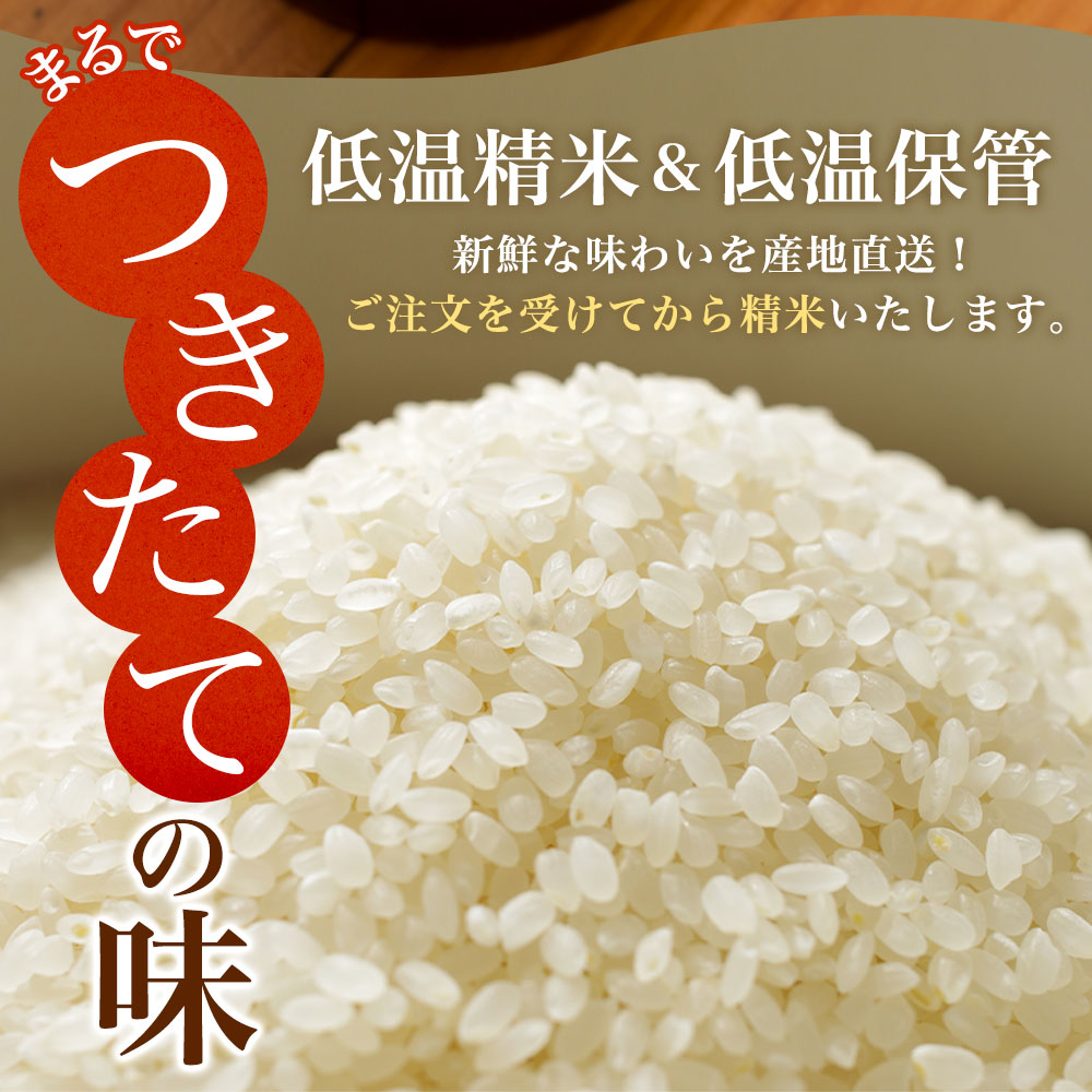 北国からの贈り物 令和7年産 北海道産 ゆめぴりか5kg＆ななつぼし5kg