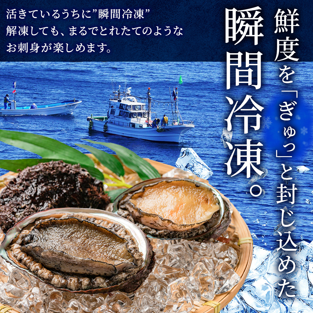 北国からの贈り物 あわび 300g(4-6粒)北海道産 蝦夷アワビ エゾ鮑 お