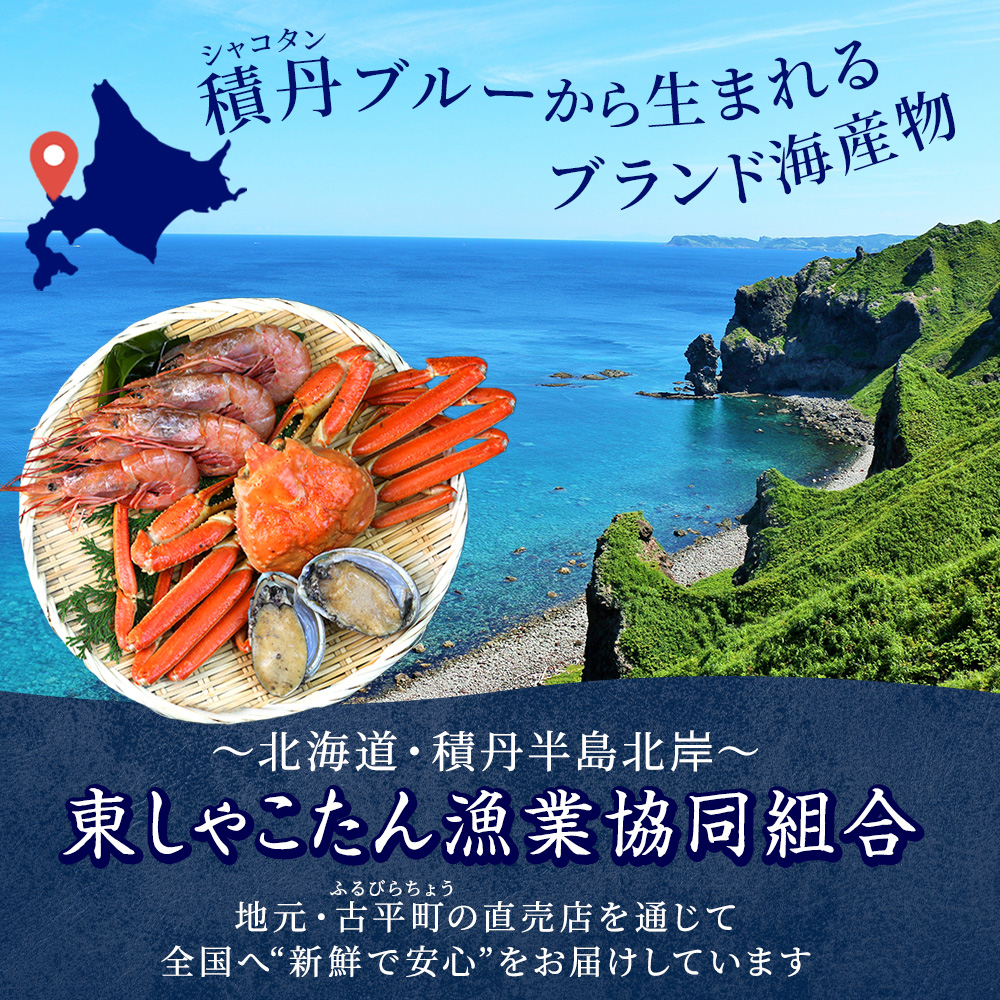 北国からの贈り物 あわび 300g(4-6粒)北海道産 蝦夷アワビ エゾ鮑 お