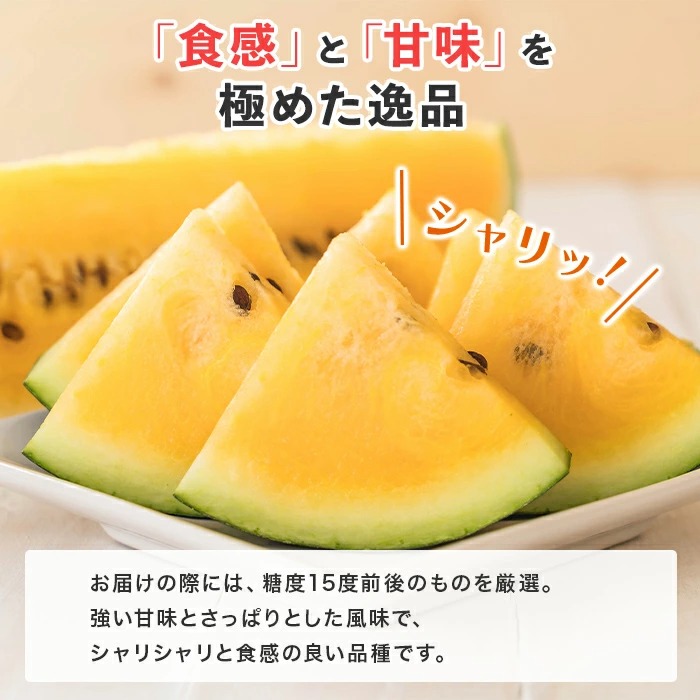 北国からの贈り物 糖度15度前後 北海道産 金色羅皇 2Lサイズ以上 1玉