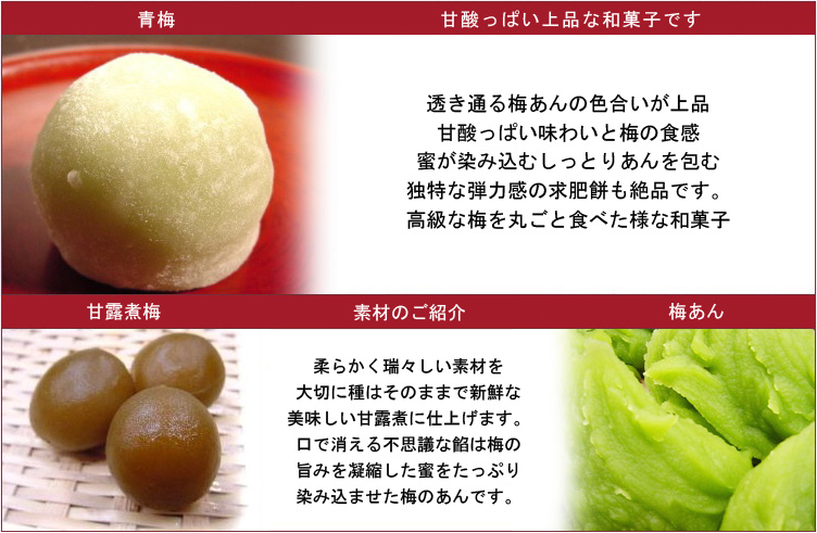 説明