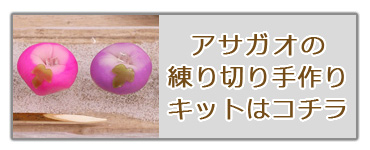 朝顔・練り切り・上生菓子・アサガオ・手作りキット・簡単・楽しい・おうち時間・説明書入り・イベント・生菓子・和菓子