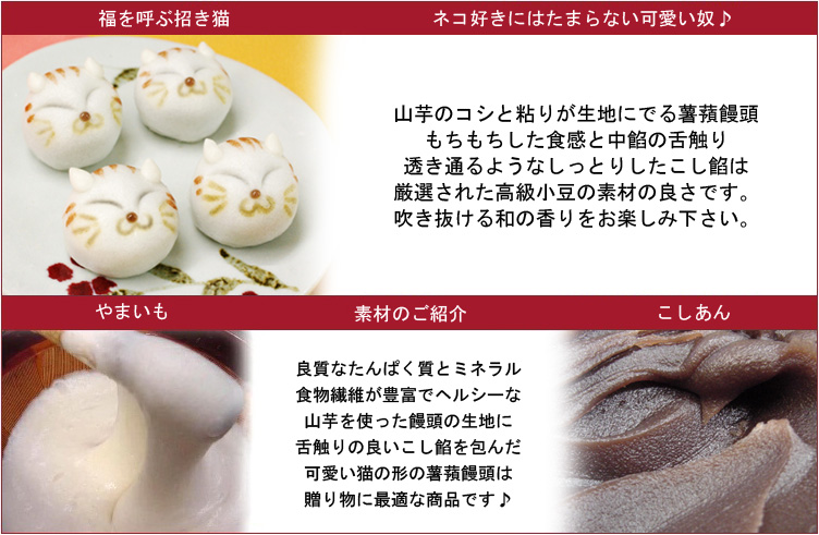 説明