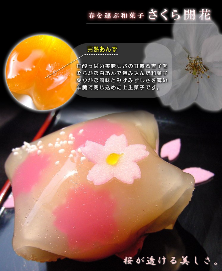 さくら和菓子・桜饅頭