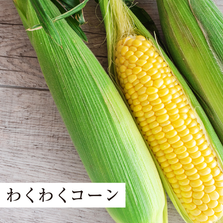 giraffe ネクタイ　トウモロコシタイ　1回のみ使用　とうもろこし 話題の人気 giraffe（ジラフ）ネクタイ – tagged 小物 - 小物