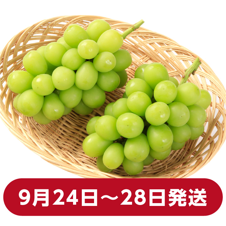 シャインマスカット 長野県産 1.3kg 2房 秀品 朝採り当日発送 産地直送 信州ぶどう 皮ごと食べられる 人気 鮮度抜群 上原園 : 008203  : 山下屋荘介 - 通販 - Yahoo!ショッピング