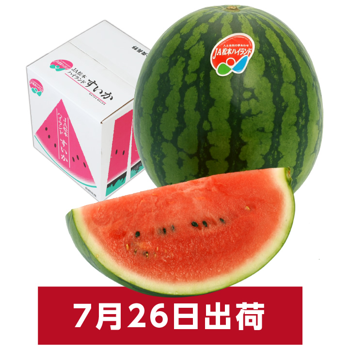 山下屋荘介 お中元 御中元 2025 スイカ 長野県産 2Lサイズ 7kg以上 A級 