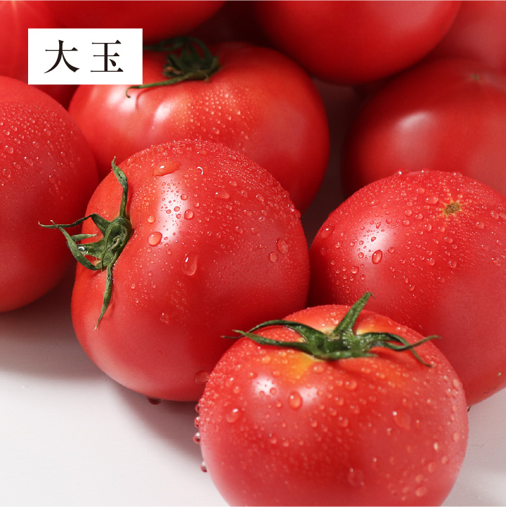 トマト GABA 静岡県産 送料無料 機能性表示食品 赤の恵 約3~3.8kg 産地直送 血圧高め 健康維持におすすめ とまと 桃太郎ヨーク 樹上完熟｜so-suke｜04