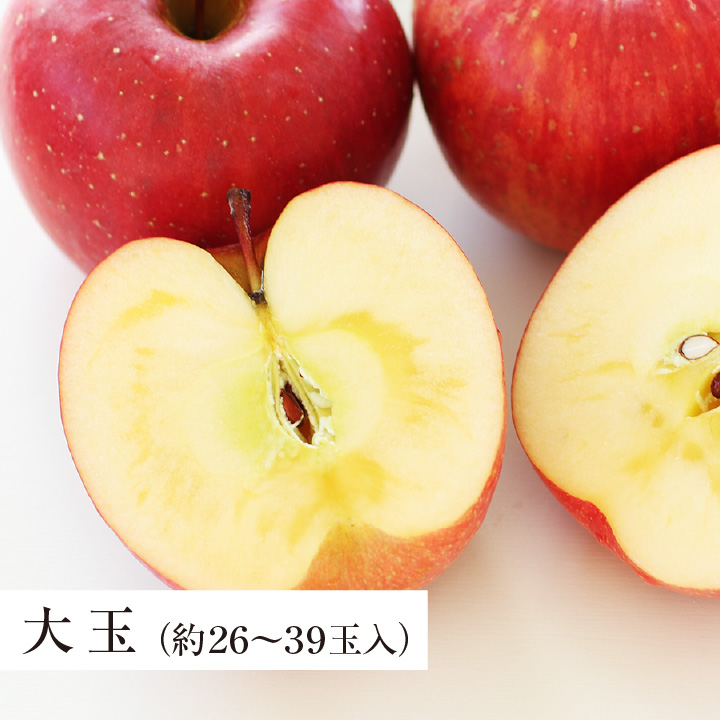 山下屋荘介 りんご 訳あり 10kg サンふじ 送料無料 長野県産 山下屋荘介 りんご 訳あり 10kg サンふじ 送料無料 長野県産
