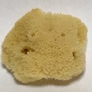 洗顔スポンジ類