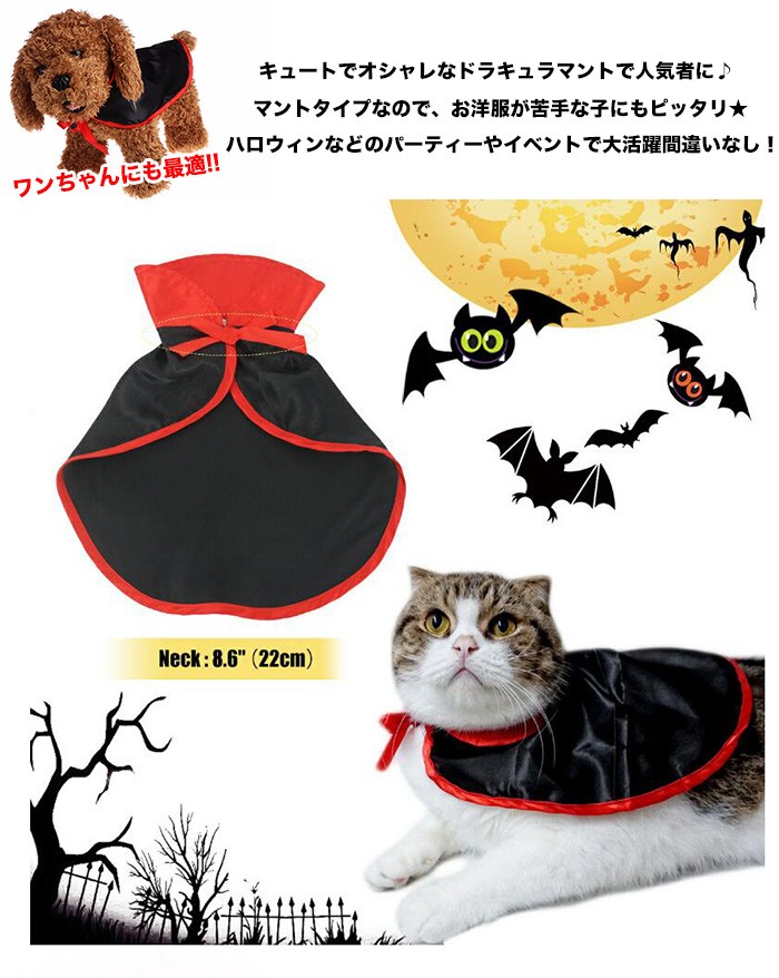ぶんちゃん、ハロウィンマントセット&スタイセット①わんちゃん猫