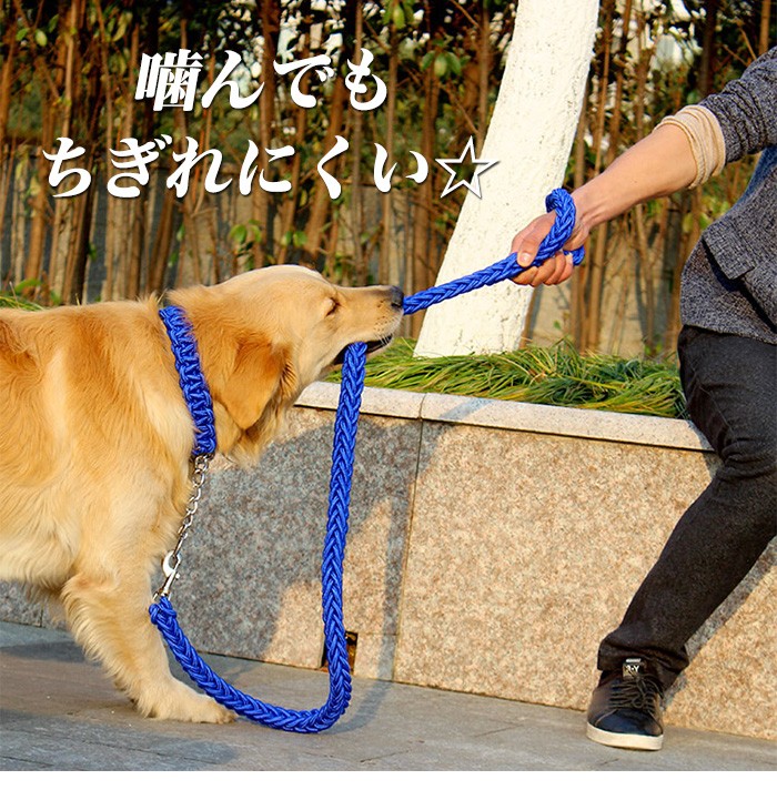 【即決OK値下不可】ゴヤール　犬リード、首輪、ブラック 楽天市場】【クーポン有り】【ゆうパケット対応】【ペット用品