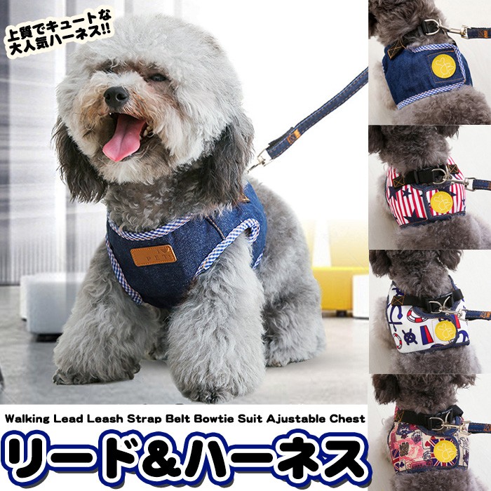 公式通販公式通販犬 ハーネス リード付 デニム ペット 服 ウェア