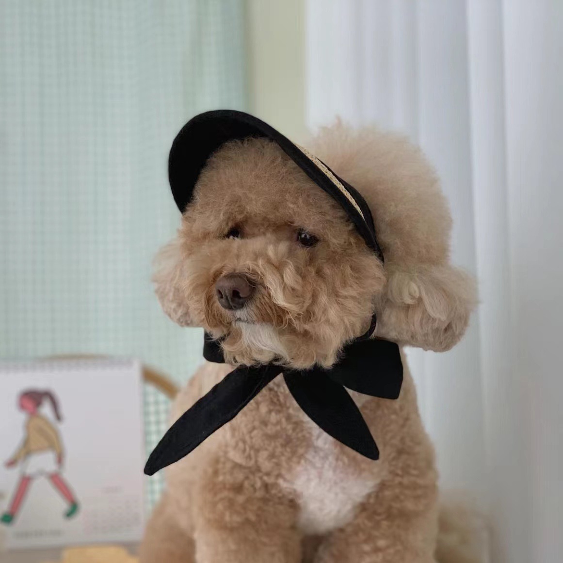 犬 猫 帽子 サンバイザー ドッグ 麦わら帽子 キャップ ペット