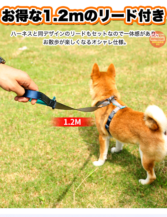 首輪・ハーネス・リード A24 ハーネスリード 犬 通販 ハーネス リード付き ハーネスリード
