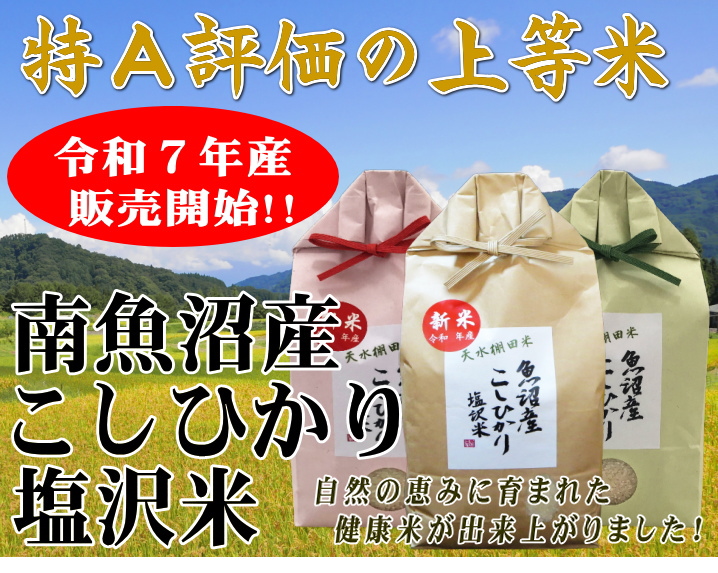 コシヒカリ 送料無料 （令和7年産新米） 徳用 南魚沼産 塩沢米 30kg