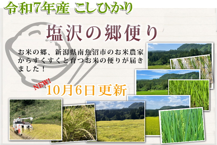 コシヒカリ 送料無料 （令和7年産新米） 徳用 南魚沼産 塩沢米 30kg