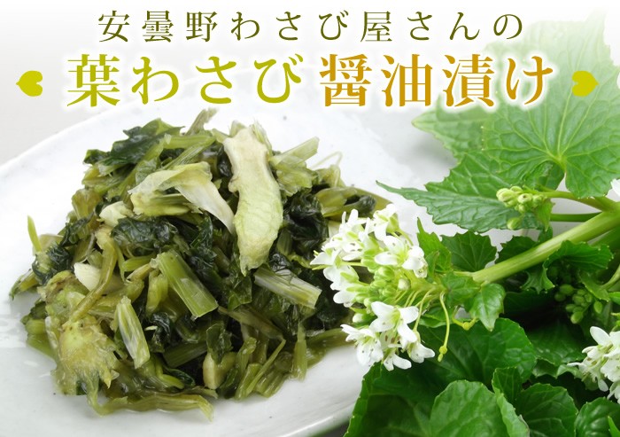 信州安曇野から山葵屋さんの「葉わさび」醤油漬け200g